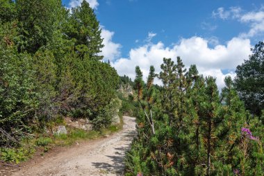 Bulgaristan 'ın Granchar Gölü yakınlarındaki Rila Dağı' nın İnanılmaz Yaz Manzarası
