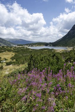 Bulgaristan 'ın Granchar Gölü yakınlarındaki Rila Dağı' nın İnanılmaz Yaz Manzarası