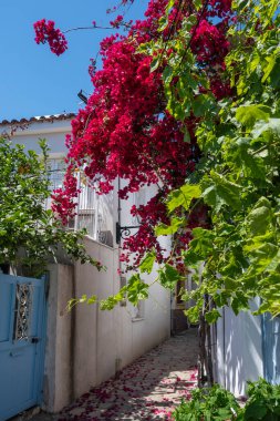 Amazing panorama of The town of Skiathos, Sporades, Thessaly, Greece