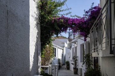 Amazing panorama of The town of Skiathos, Sporades, Thessaly, Greece