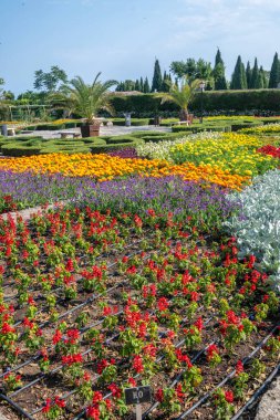 Bulgaristan 'ın Dobrich bölgesinin Balchik kentindeki Botanik Bahçesi' nin inanılmaz manzarası