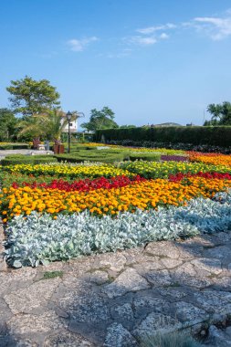 Bulgaristan 'ın Dobrich bölgesinin Balchik kentindeki Botanik Bahçesi' nin inanılmaz manzarası