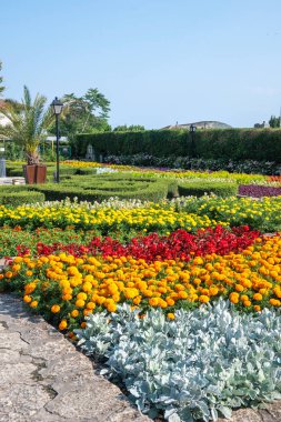 Bulgaristan 'ın Dobrich bölgesinin Balchik kentindeki Botanik Bahçesi' nin inanılmaz manzarası