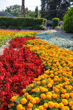 Bulgaristan 'ın Dobrich bölgesinin Balchik kentindeki Botanik Bahçesi' nin inanılmaz manzarası