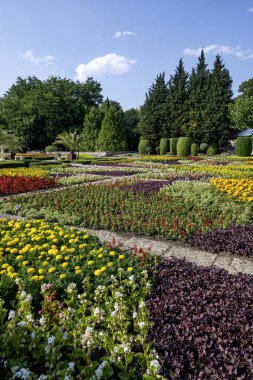 Bulgaristan 'ın Dobrich bölgesinin Balchik kentindeki Botanik Bahçesi' nin inanılmaz manzarası