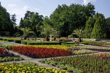 Bulgaristan 'ın Dobrich bölgesinin Balchik kentindeki Botanik Bahçesi' nin inanılmaz manzarası