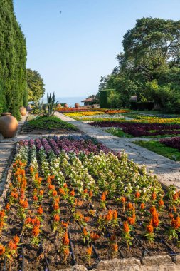 Bulgaristan 'ın Dobrich bölgesinin Balchik kentindeki Botanik Bahçesi' nin inanılmaz manzarası