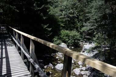 Beli Iskar Nehri yakınlarındaki Rila Dağı, Sofya Bölgesi, Bulgaristan