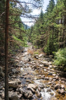Beli Iskar Nehri yakınlarındaki Rila Dağı, Sofya Bölgesi, Bulgaristan