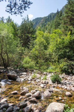 Beli Iskar Nehri yakınlarındaki Rila Dağı, Sofya Bölgesi, Bulgaristan