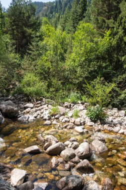 Beli Iskar Nehri yakınlarındaki Rila Dağı, Sofya Bölgesi, Bulgaristan