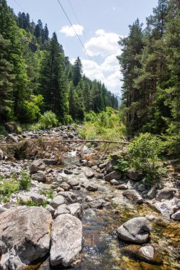 Beli Iskar Nehri yakınlarındaki Rila Dağı, Sofya Bölgesi, Bulgaristan