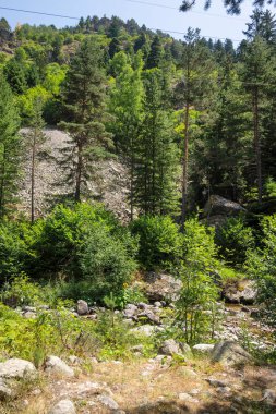 Beli Iskar Nehri yakınlarındaki Rila Dağı, Sofya Bölgesi, Bulgaristan