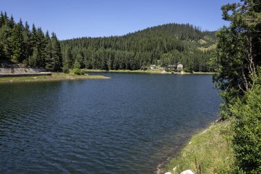 Toshkov Chark Reservoir, Pazardzhik Bölgesi, Bulgaristan