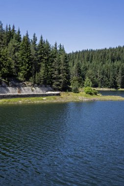 Toshkov Chark Reservoir, Pazardzhik Bölgesi, Bulgaristan
