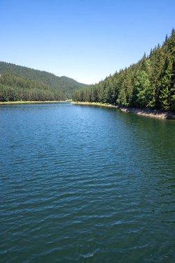 Toshkov Chark Reservoir, Pazardzhik Bölgesi, Bulgaristan