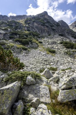 Bulgaristan 'ın Yakoruda Gölleri yakınlarındaki Rila Dağı' nın İnanılmaz Yaz Manzarası