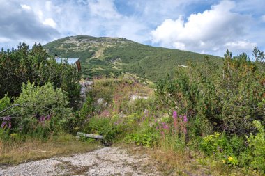 Bulgaristan 'ın Yakoruda Gölleri yakınlarındaki Rila Dağı' nın İnanılmaz Yaz Manzarası