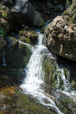 Bulgaristan 'ın Boyana Şelalesi yakınlarındaki Vitosha Dağı' nın Muhteşem Bahar Panoraması