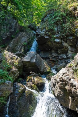 Bulgaristan 'ın Boyana Şelalesi yakınlarındaki Vitosha Dağı' nın Muhteşem Bahar Panoraması