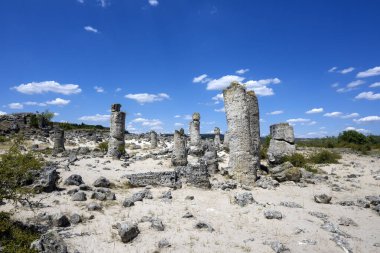 Pobiti Kamani (Upright Stones), Varna bölgesi, Bulgaristan
