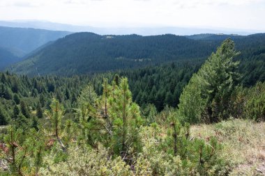 Bulgaristan 'ın Granchar Gölü yakınlarındaki Rila Dağı' nın İnanılmaz Yaz Manzarası