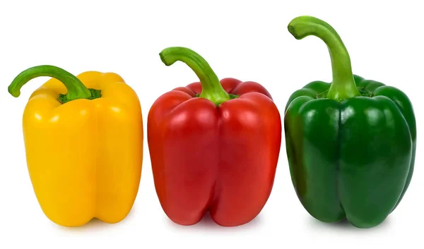 Peppers Bulgarian Vegetables Sweet Red Yellow Green Healthy — Stock Photo, Image