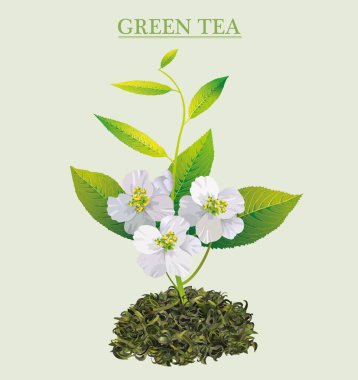 Beyaz çiçek ve yapraklı yeşil aromatik çay doğal ve sağlıklıdır.