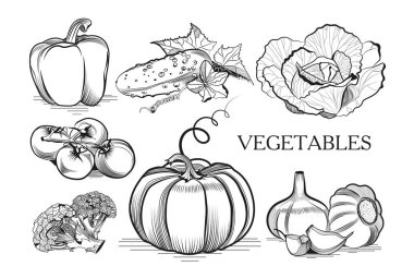 Lezzetli sağlıklı sebzeler kırmızı biber salatalık lahana domates sarımsaklı brokoli kabağı