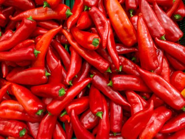 Kırmızı biberler baharatlı lezzetli sağlıklı sebzeler