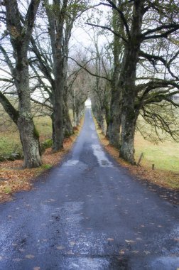 Boş yol görünümü