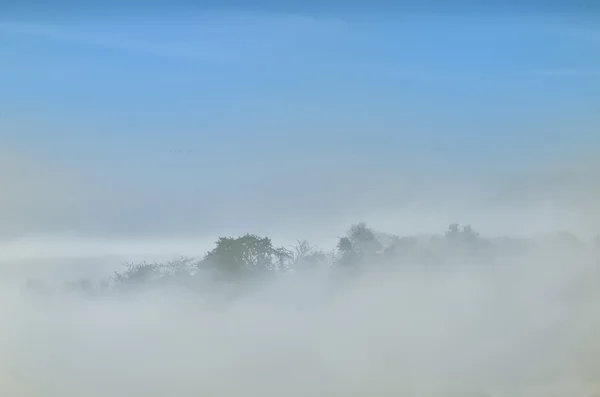 Niebla paisaje vista —  Fotos de Stock