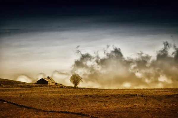 Vista paisagem do campo — Fotografia de Stock