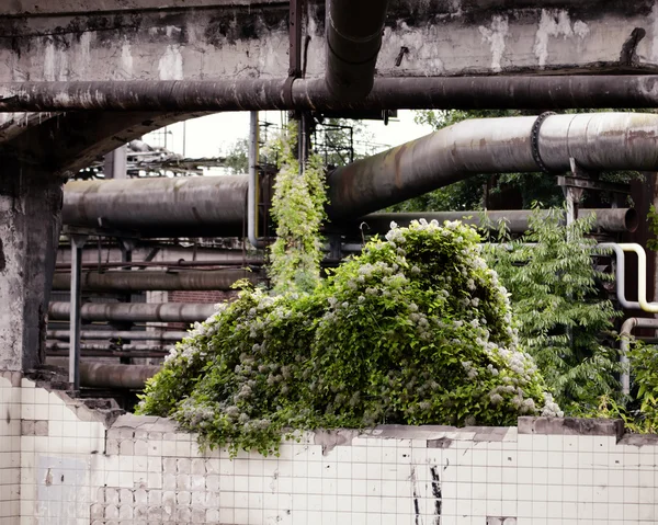 荒れ地の工場の眺め — ストック写真