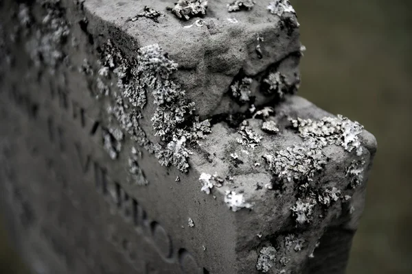 The tombstone and lichen — Stock Photo, Image