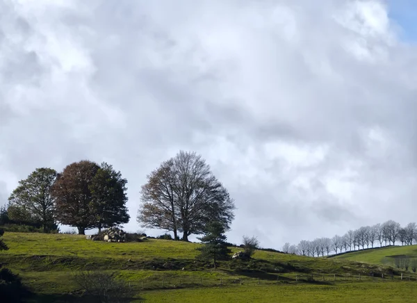 Beautiful countryside landscape — Stock Photo, Image