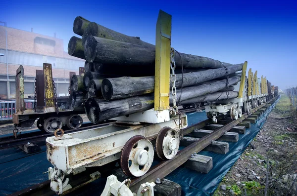 Timber transported by wagons — Stock Photo, Image