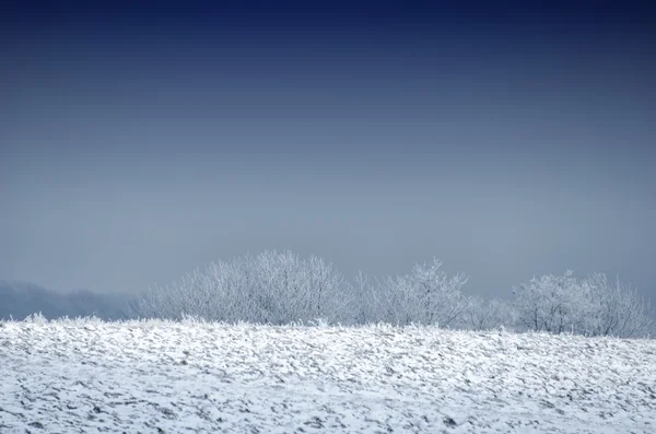 Vista paisagem nevada — Fotografia de Stock