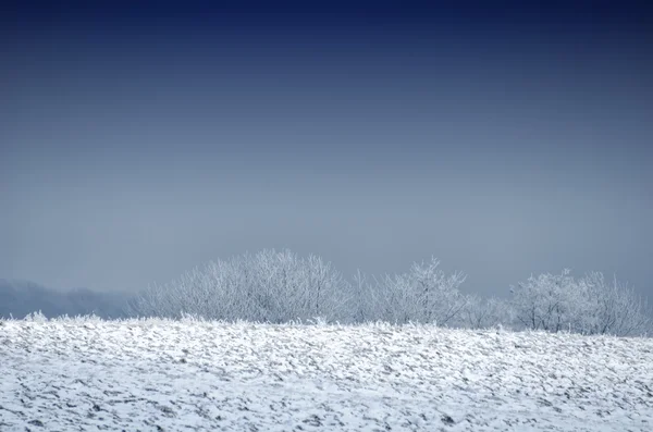 Zasněžená krajina zobrazení — Stock fotografie