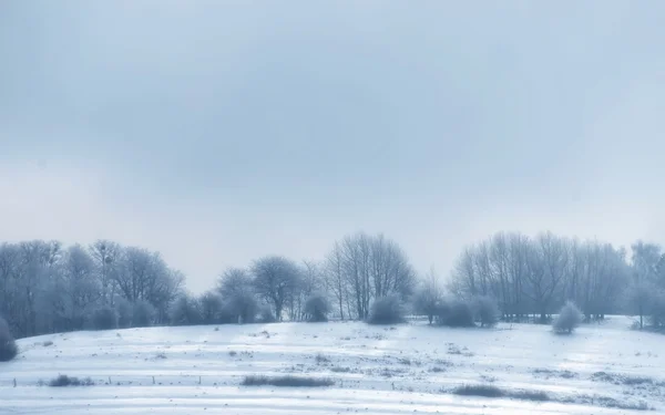 Hermoso paisaje de invierno —  Fotos de Stock