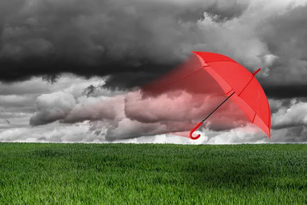 Guarda-chuva vermelho voando sobre o campo verde — Fotografia de Stock