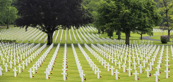 Memorial day at American cemetery — Stock Photo, Image