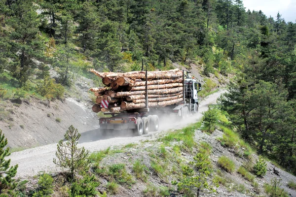 Timber transport by truck — Stock Photo, Image