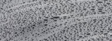 Waterdrops gri arka plan üzerinde
