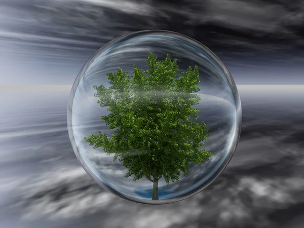 Baum in transparenter Blase — Stockfoto