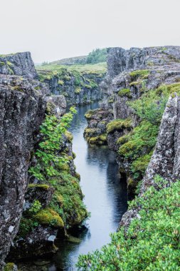 İzlanda 'daki Thingvellir Parkı