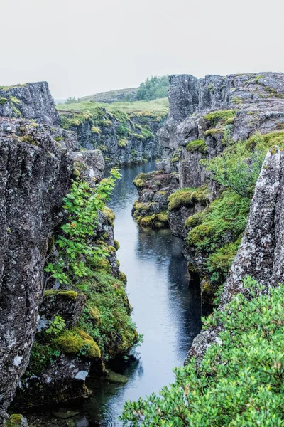 Πάρκο Thingvellir Στην Ισλανδία — Φωτογραφία Αρχείου