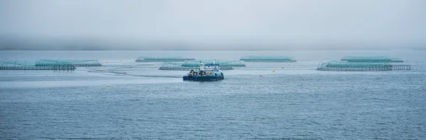 Salmon Farm Iceland — Stock Photo, Image