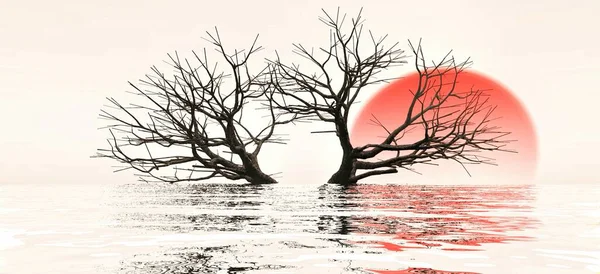 Inondation Soleil Rouge Arbre — Photo