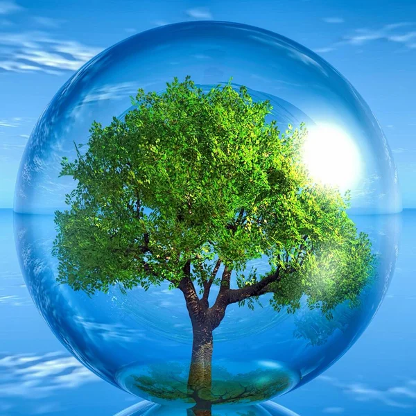 Green Tree Transparent Bubble — Stock Photo, Image